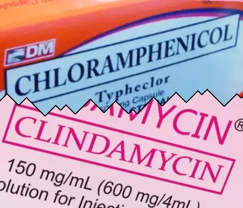 Chloramphenicol vs Clindamycin