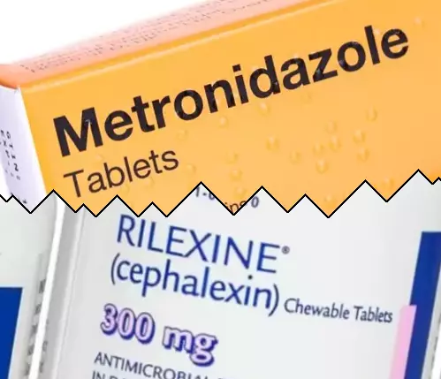 Metronidazole vs Cephalexin
